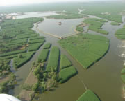 安新天气预报60天