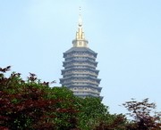 天宁天气预报60天