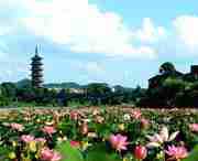 石城天气预报60天