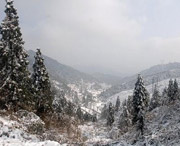 武冈天气预报10天