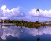 徐闻天气预报40天