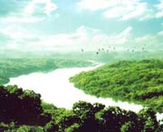 廉江天气预报40天